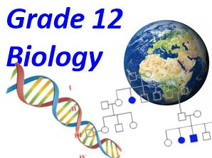 Permalink to:Grade 12 Biology